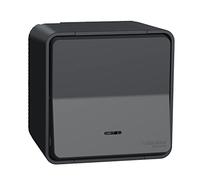 Schneider Electric - Mureva Styl - Va et vient lumineuxLED - saillie - IP55 IK08 - connex auto - gris - MUR35024