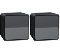 Schneider Electric - Mureva Styl - Va et vient - saillie - IP55 - IK08 - connexion auto - gris - MUR35021 (Lot de 2)