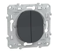 Schneider Electric - Ovalis - double poussoir fermeture - 10AX - Anthracite - S340216