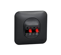Schneider Electric - Ovalis - Prise haut-parleur 2 sorties- 4 bornes à vis Avec plaque -Anthracite - S460488
