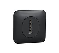 Schneider Electric - Ovalis - Prise téléphone en T - 8 contacts Avec plaque de finition -Anthracite - S460496