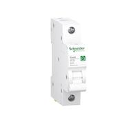 R9F23125 - Disjoncteur Resi9 1P, 25 A, caractéristique B, 6 kA