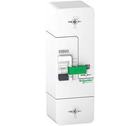 Schneider Electric - Resi9 DB60 - Disjoncteur Branchement - 1P+N - 60A fixe - non différentiel - R9FN660