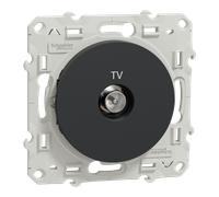 Schneider Electric S540445 Odace 2011 PRISE TV ANTH VIS