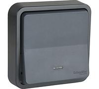 Schneider Electric SC5SHN0212459 Bouton Poussoir lumineux mureva Styl, 250 V, Gris