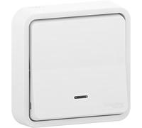 Schneider Electric SC5SHN0212470 Bouton Poussoir Luminaire complet mureva Styl, 250 V, Blanc
