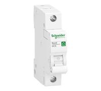Schneider Electric Schneider Electric Disjoncteur unipolaire 1P, 10A, C R9F24110 Quantité:1