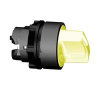 Schneider Electric Schneider Electric Interrupteur de sélection lumineux 2 positions ZB5AK1253 Quantité:1