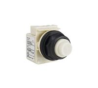 Schneider Electric Voyant lumineux 1 pc(s)