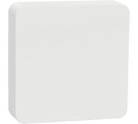Schneider Electric Wiser CCT593012 Capteur de température, Capteur dhumidité de lair
