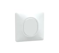 SCHNEIDER Ovalis Obturateur blanc complet