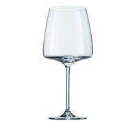 Schott Zwiesel 142153 Sensa Lot de 6 verres à bascule Velvety & Sumptuous, capacité 0,71 l