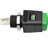 Schützinger Borne à connexion rapide vert 16 A 1 pc(s)