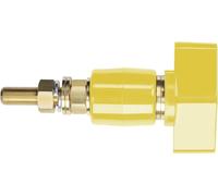 Schützinger Borne de polarité jaune 200 A 1 pc(s)