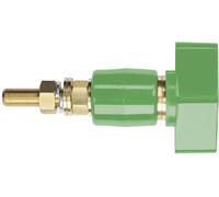 Schützinger Borne de polarité vert 200 A 1 pc(s)