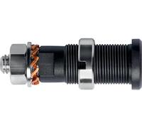 Schützinger DI SEB 3401 Ni / SW Prise encastrée de sécurité noir 1 pc(s)