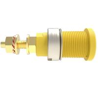Schützinger DI SEB 6446 Au / GNGE Prise encastrée de sécurité vert-jaune 1 pc(s)