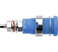 Schützinger DI SEB 6446 Ni / BL Prise encastrée de sécurité bleu 1 pc(s) Piece