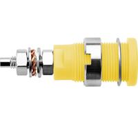 Schützinger DI SEB 6446 Ni / GE Prise encastrée de sécurité jaune 1 pc(s) Piece