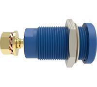 Schützinger DI SEB 9424 Au / BL Prise encastrée de sécurité droit Ø de la broche: 4 mm bleu 1 pc(s) Piece