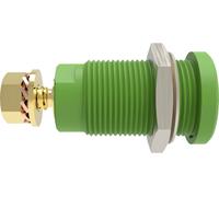 Schützinger DI SEB 9424 Au / GN Prise encastrée de sécurité droit vert 1 pc(s) Piece
