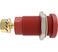Schützinger DI SEB 9424 Au / RT Prise encastrée de sécurité droit rouge 1 pc(s) Piece
