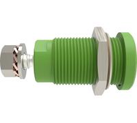 Schützinger DI SEB 9424 Ni / GN Prise encastrée de sécurité droit Ø de la broche: 4 mm vert 1 pc(s)