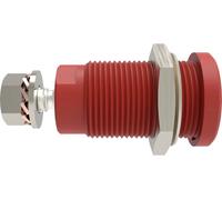 Schützinger DI SEB 9424 Ni / RT Prise encastrée de sécurité droit rouge 1 pc(s)