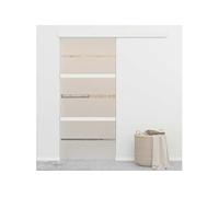 Schuifdeur 90x205 cm ESG-glas en aluminium zilverkleurig288059
