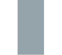 Schulte panneau mural 90x210 cm, revêtement pour douche et salle de bains, placement facile, DécoDesign COULEUR, gris argenté