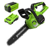 Scie à chaîne électrique sans fil Greenworks, incluant la batterie et le chargeur, lame de 12 pouces (30 cm), 4