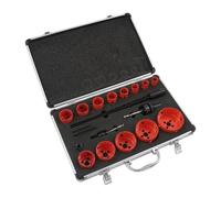 Scie Cloche Bi-Métal, Coffret Scie Cloche M42 17 Pièces 19-76mm | Scie à Trous Bois PVC Placo, avec Foret de Centrage pour Perceuse Atelier Bricolage Rénovation
