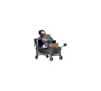 Scie sur Table DIAM DK1000ES-G + Disque ST801000 Ø1000 mm