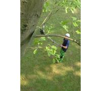 Scie télescopique professionnelle Silky Hayauchi | 4 pièces 2,37–6,3 m | Scie à branches et scie à arbres professionnelle avec lame de 390 mm, 6,5 ZpZ grossière | Scie télescopique de haute qualité po
