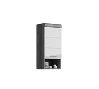 Scout armoire de salle de bain accroché au mur 1 porte, 1 tablette brillant blanc,enfumé.