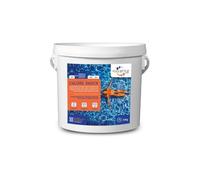 Désinfectant "Chlore choc pastilles" - 4 kg G