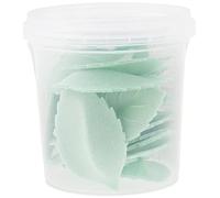 Scrapcooking 2260 Décos Azymes Lot de 24 Feuilles Ingrédients Vert 6,5 x 6,5 x 7 cm