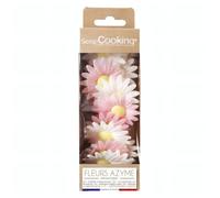 Scrapcooking 2262 Décos Azymes 18 Marguerites Ingrédients Multicolore 8 x 9,5 x 9,5 cm