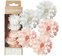 ScrapCooking - 5 Dahlias Blancs & Rose Pastel en Azyme - Fleurs Comestibles Décoration Gâteau - Déco Pièce-Montée, Cupcakes, Pâtisseries - Anniversaire, Mariage - 2297