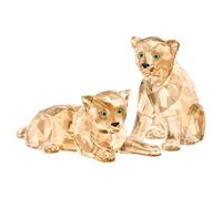 SCS Bébés Léopards de l’amour OS