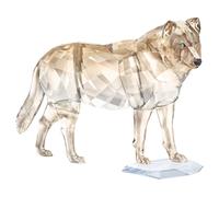 SCS Loup Gris OS