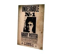 SD Toys indeseable 1 Poster de Harry Potter, Multicolore, 41 x 31 x 3 cm