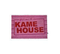 SD TOYS Kame House
