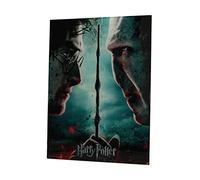 SD Toys Poster Harry Potter et Voldemort – Multicolore – 41 x 31 x 3 cm