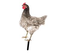 Sdlnklm Décoration de Jardin En Forme de Poule, Statue Décorative à Planter dans Le Jardin, Cadeau D'anniversaire Printanier, Figurine à Piquer Pou, c