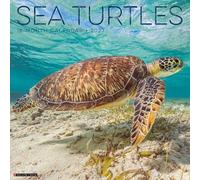 Sea Turtles 2027 Wall