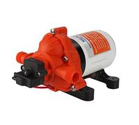 Seaflo Pompe à Membrane DC série 33 12V/24V 3.0GPM 45PSI (24 Volts)