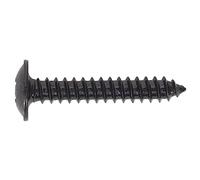 Sealey BST4225 Lot de 100 vis autotaraudeuses à tête bombée Pozi BS 4174 Noir 4,2 x 25 mm