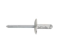 Sealey Aluminium Multi-Grip Rivet Grand Bride 4.8 x 19mm Paquet De 200 RM4819L