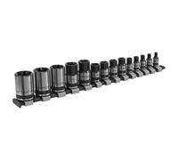 Sealey Torx Star Douille Set 14pc 0.6cm 1cm & 1.3cmSq Drive E4-E24 Noir AK618B